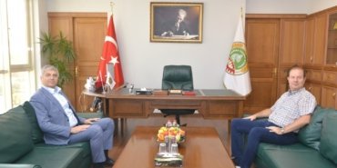 BAYAZİT
