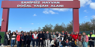MAN HAYVAN SEVERLER