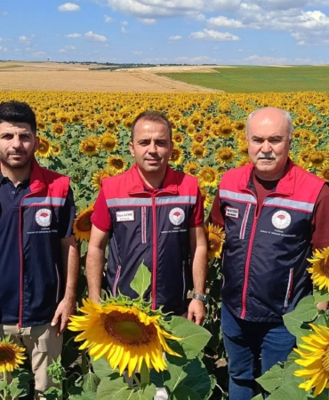 MAN AYÇİÇEĞİ1