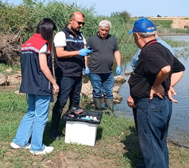 MAN BALIK ÖLÜMLERİ (3)