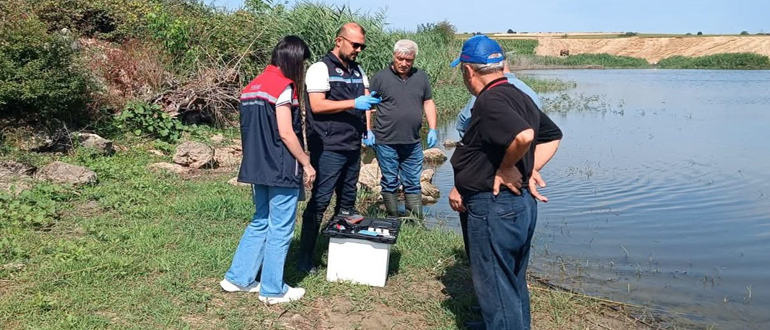 MAN BALIK ÖLÜMLERİ (3)