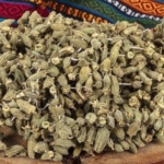 MAN KURU BAMYA