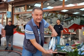 BALIKÇI