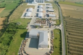BORSA (2)