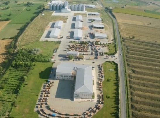 BORSA (2)