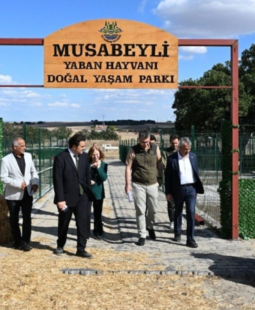 MAN YABAN HAYVANI