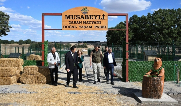 MAN YABAN HAYVANI