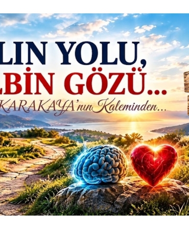 083d5f85-b700-4ab9-b7b1-9a55d11c93a7